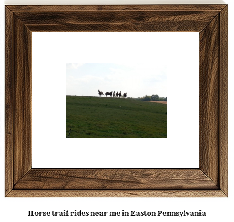 horse trail rides near me in Easton, Pennsylvania